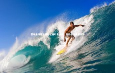 j9九游会官网登录-蓉城主场球迷投掷水杯引发冲突，足协予以通报批评