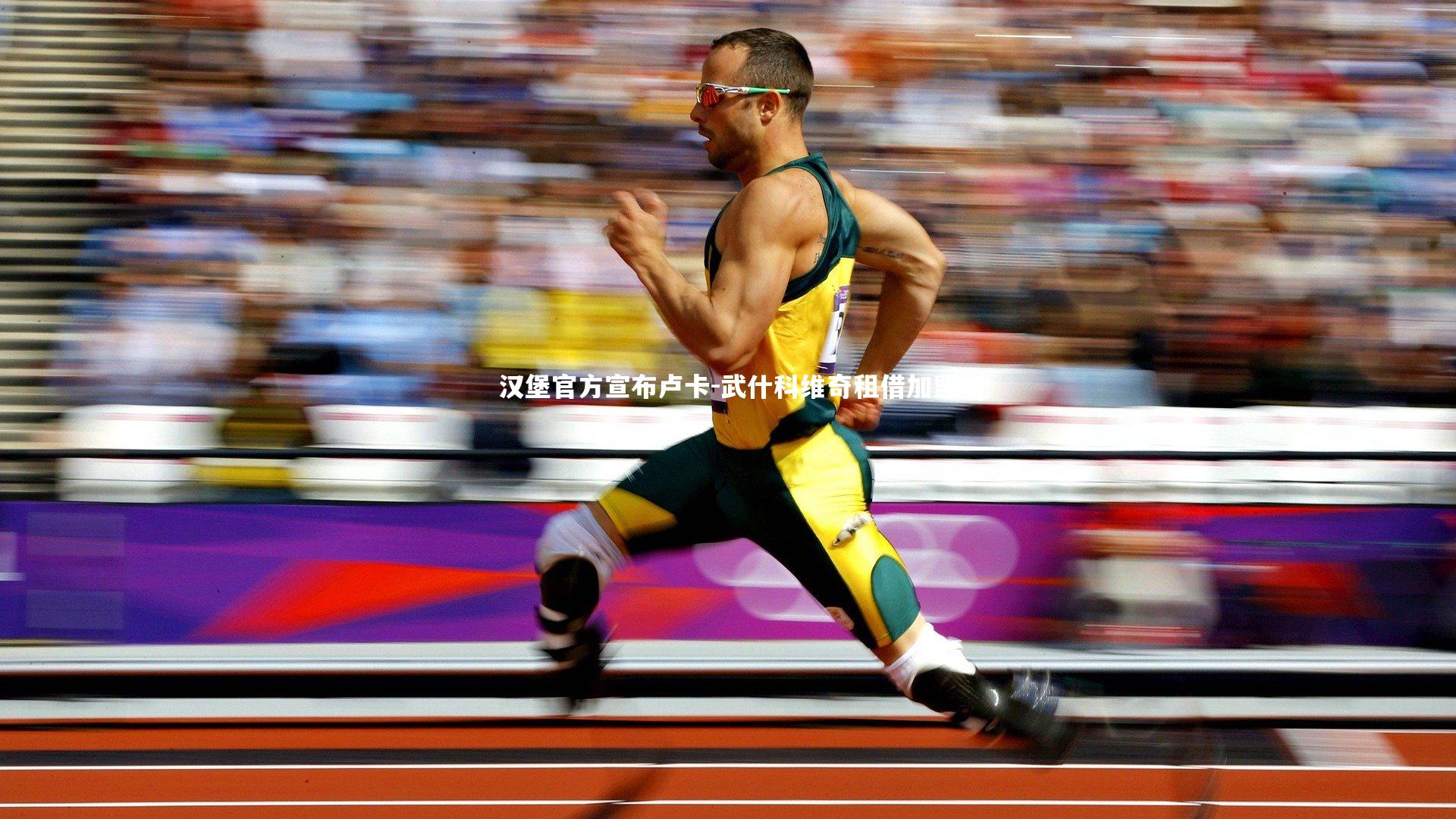 汉堡官方宣布卢卡-武什科维奇租借加盟